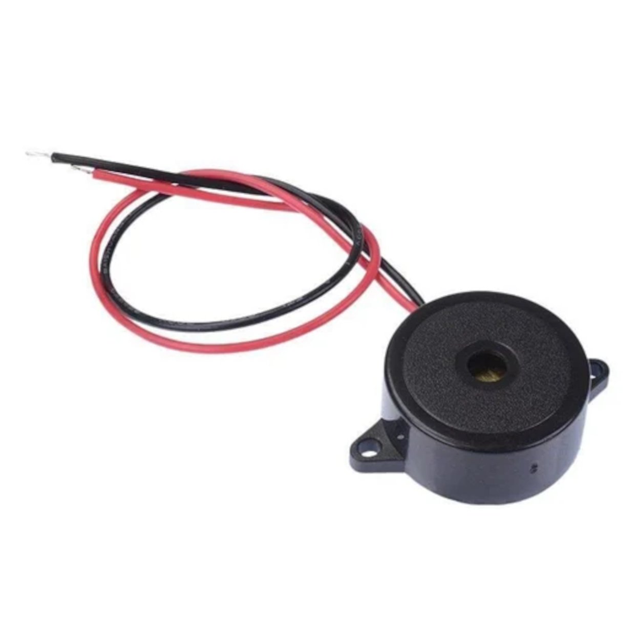 Buzzer Big Size 3~24V PiezoElectronic Alarm